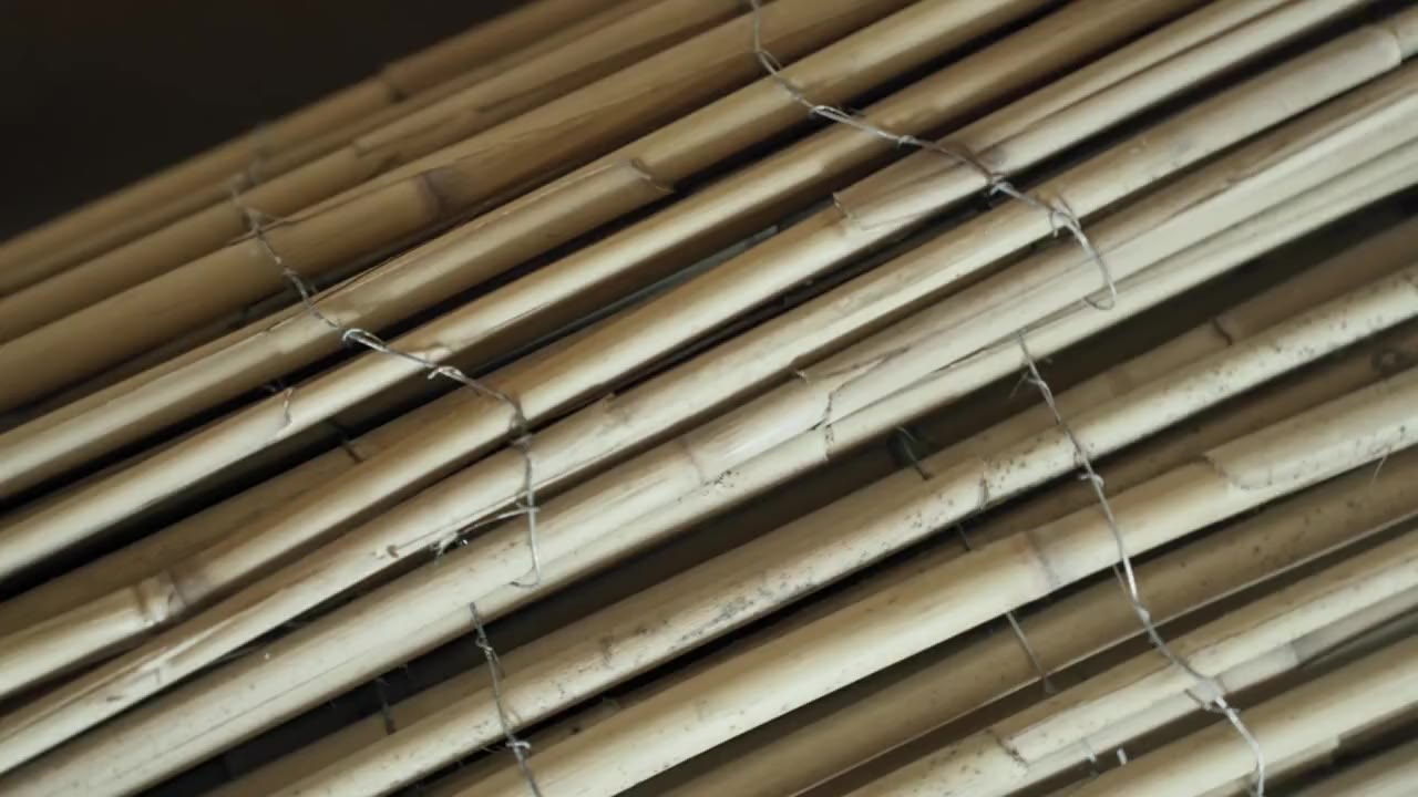 baubuero zam — Teaser